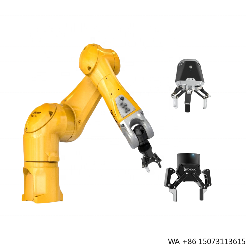 Robot Gripper - Nuovissimo Robot Industriale a 6 Assi