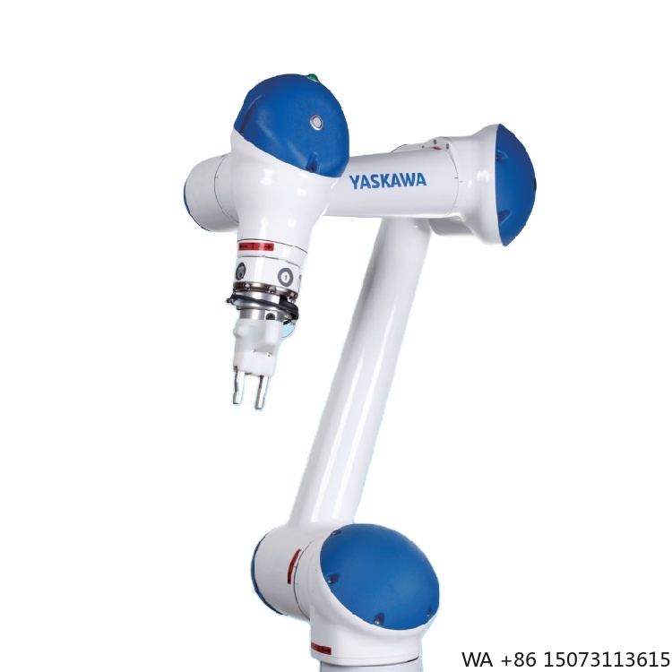 Robot Gripper - Braccio Robotico Collaborativo (Cobot) con Pinza
