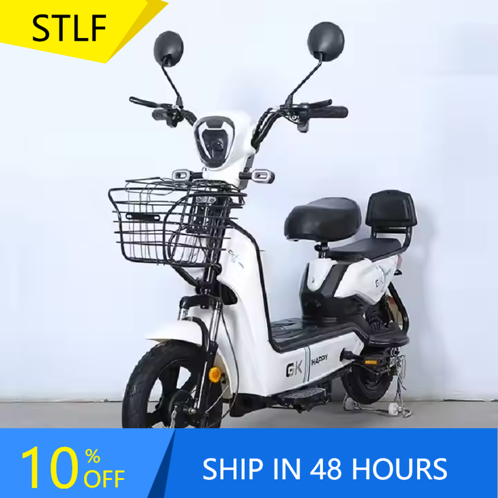 YTYIN Bicicletta Elettrica da  - Geared Motor recensione e prezzo