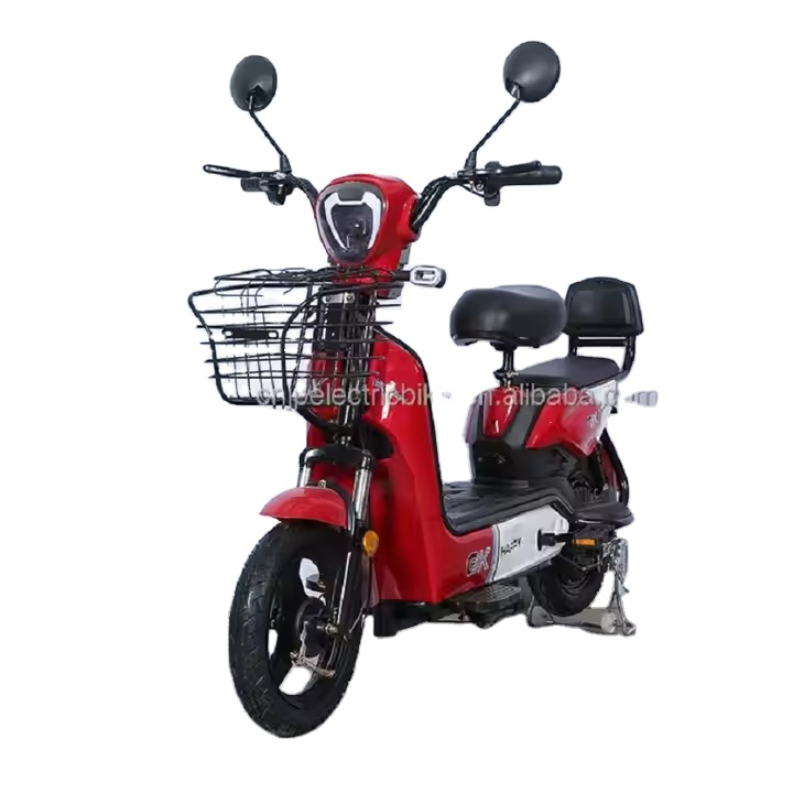 YTYIN Bicicletta Elettrica da  - Geared Motor recensione e prezzo