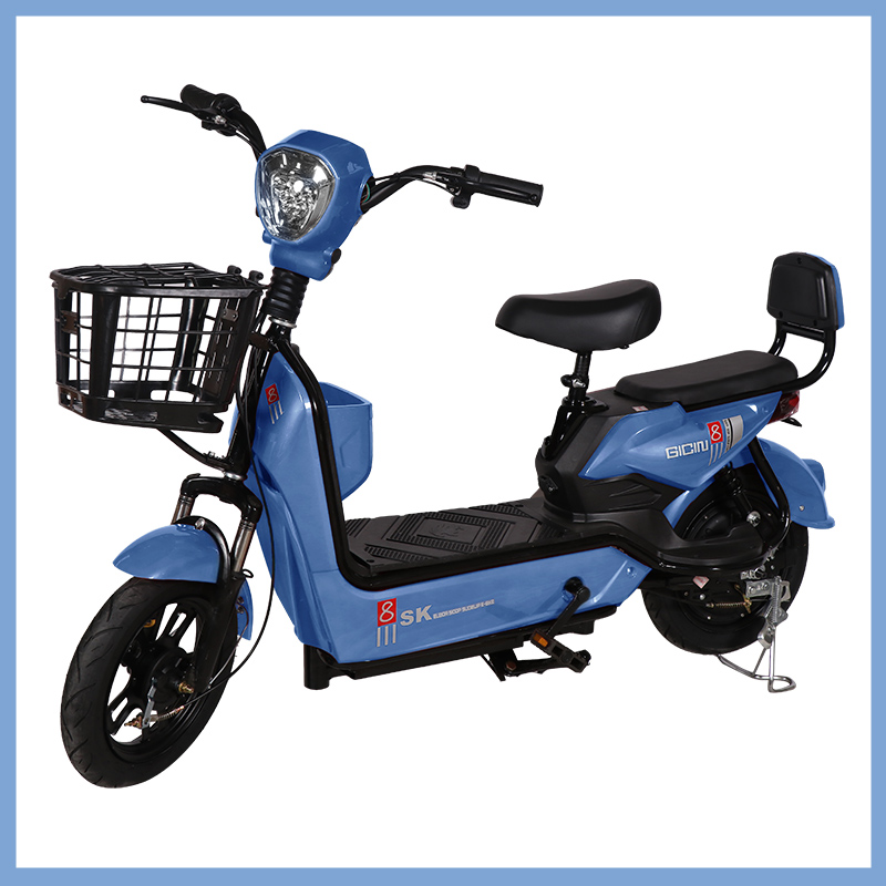 YTYIN Bicicletta Elettrica da  - Geared Motor recensione e prezzo