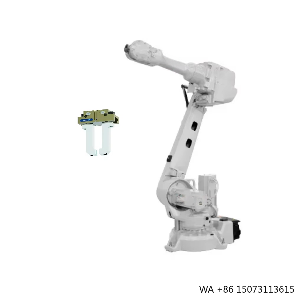 Braccio Robotico Industriale a - Robot Gripper recensione e prezzo