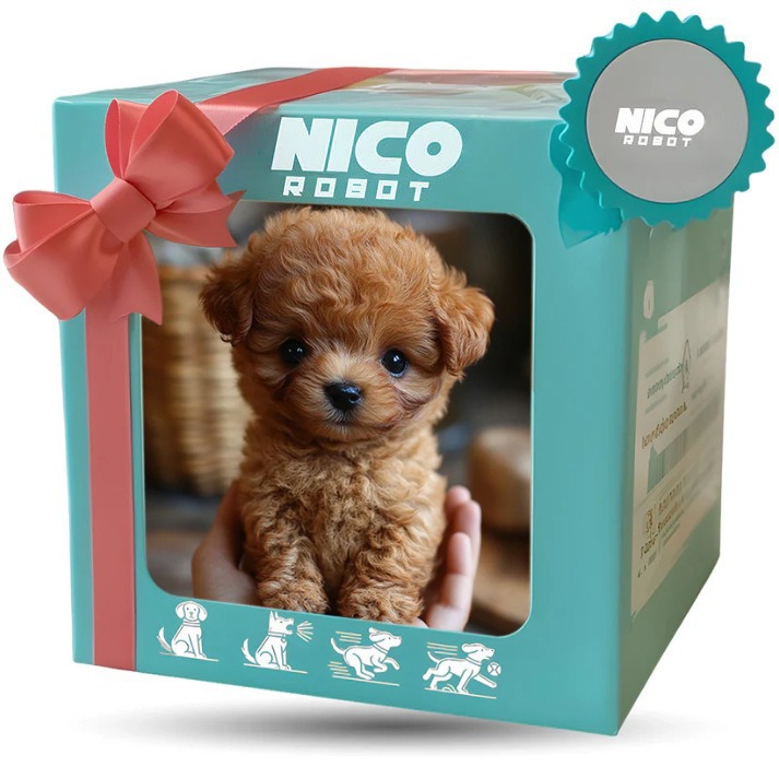 Nico Robot, Cane Robotico di P - Line Follower Robot recensione e prezzo