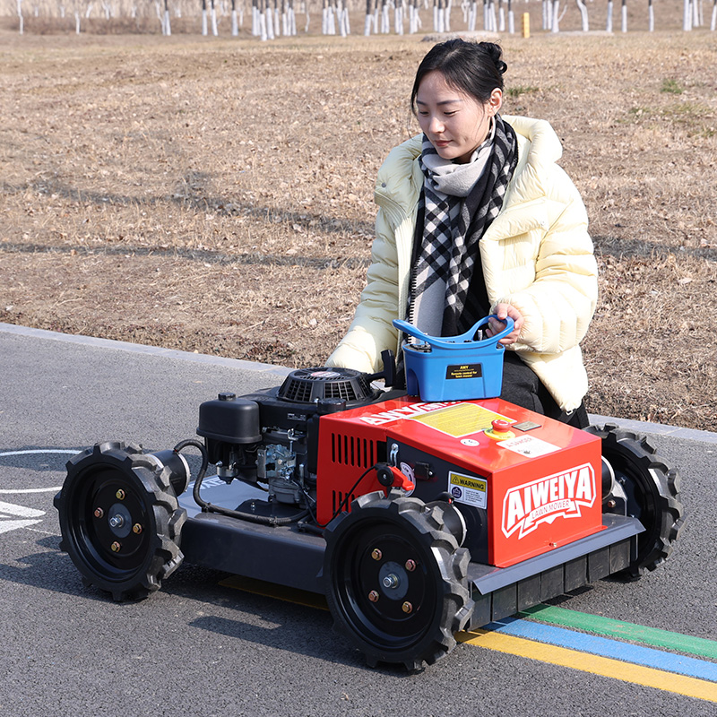 Robot rasaerba personalizzato  - Robot Wheel recensione e prezzo