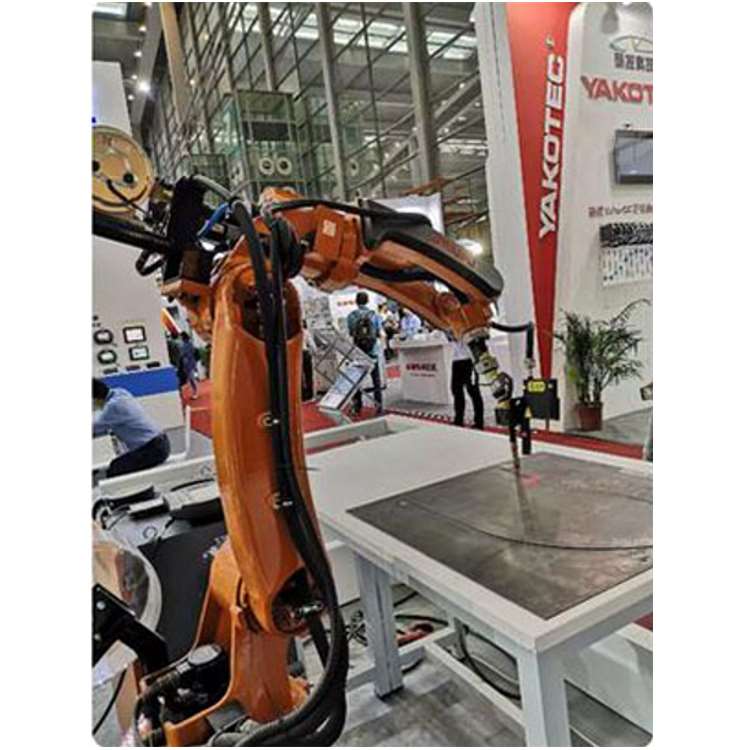 Braccio Robotico Industriale a - Robot Gripper recensione e prezzo