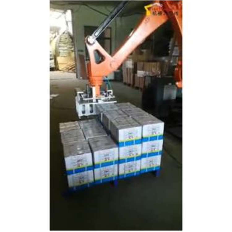 Braccio Robotico Industriale a - Robot Gripper recensione e prezzo