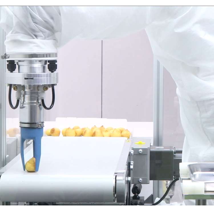 Braccio Robotico CNC a 6 Assi  - Robot Gripper recensione e prezzo