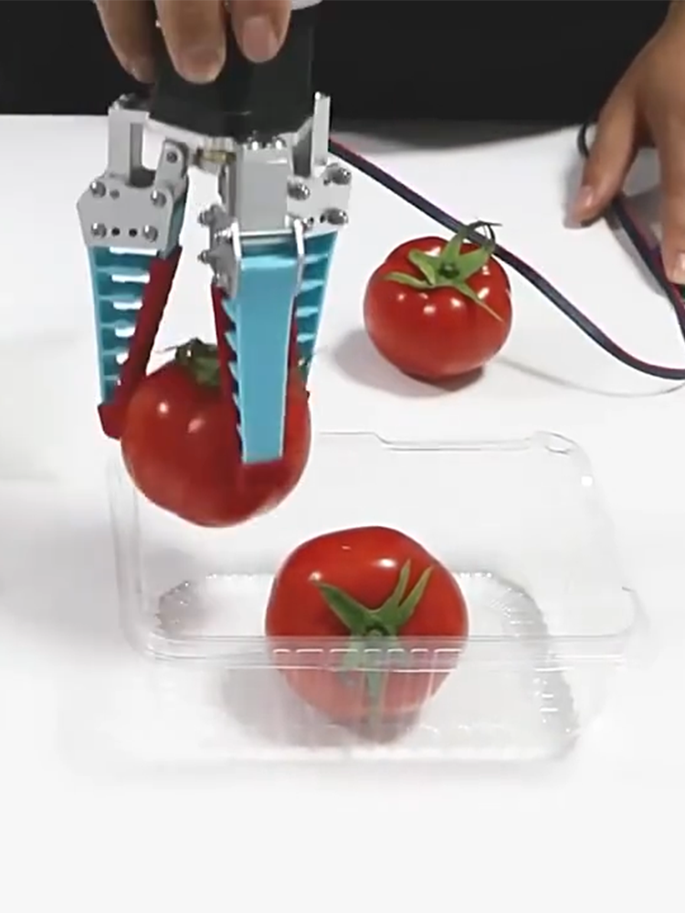 Il più nuovo braccio meccanico - Robot Gripper Claw recensione e prezzo
